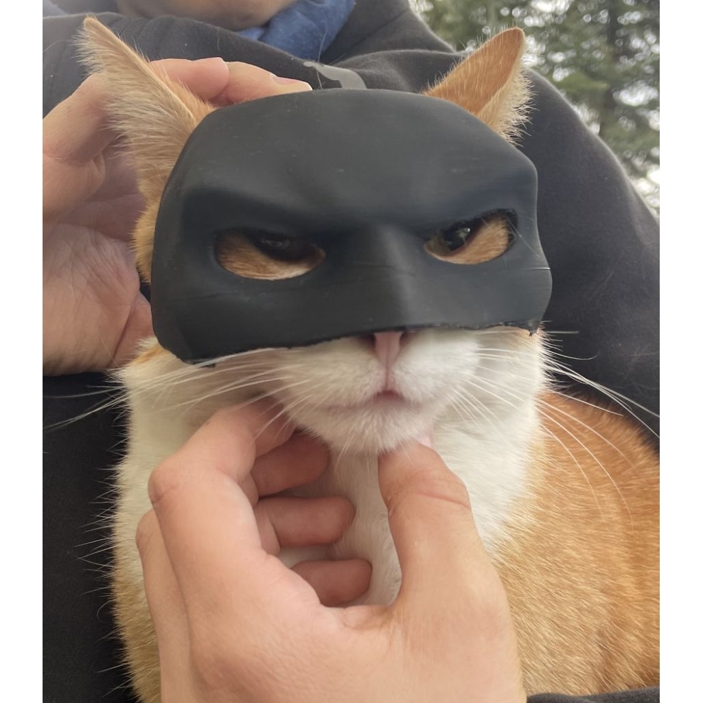 Topeng Kucing, Cat Mask, untuk pecinta kucing, untuk roleplay kucing - Cat Mask untuk kucing bentukn