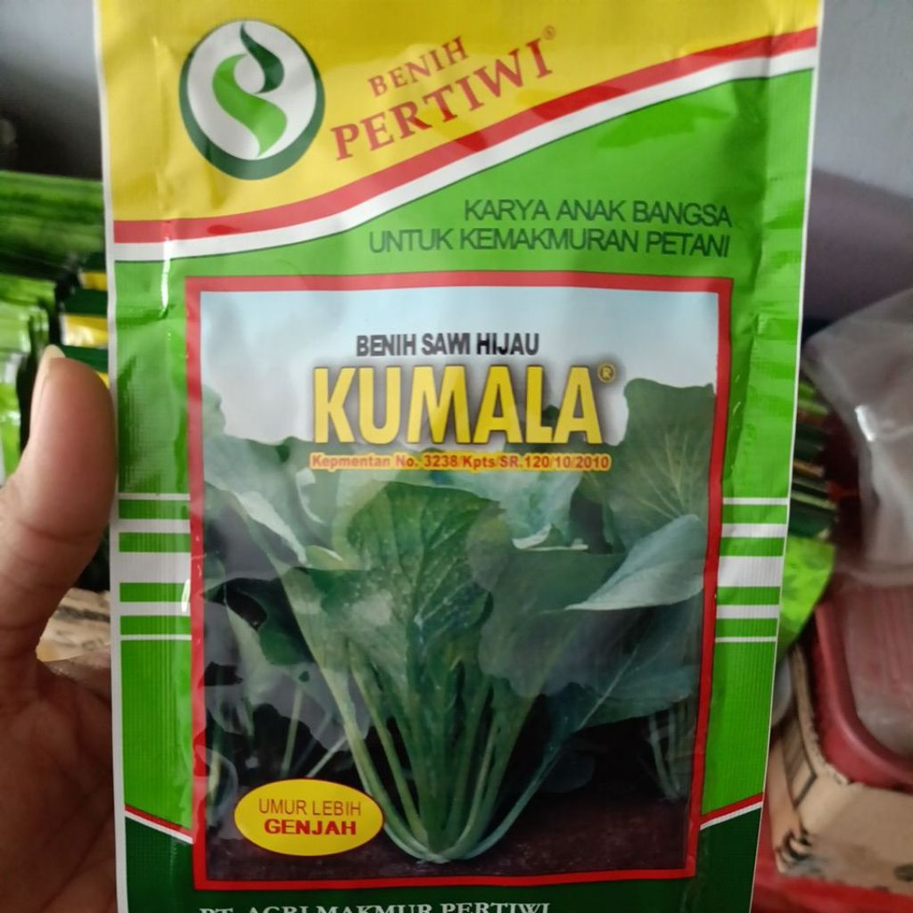 benih sawi kumala