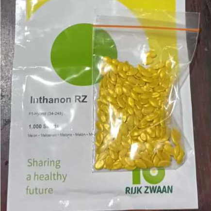Inthanon RZ Benih Repack 100 Seeds