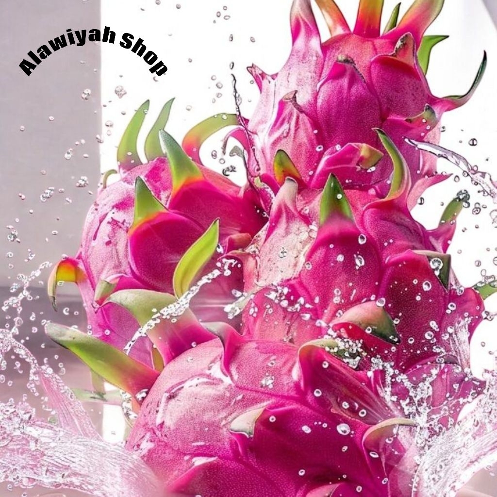 Buah Naga Segar 1 Kg