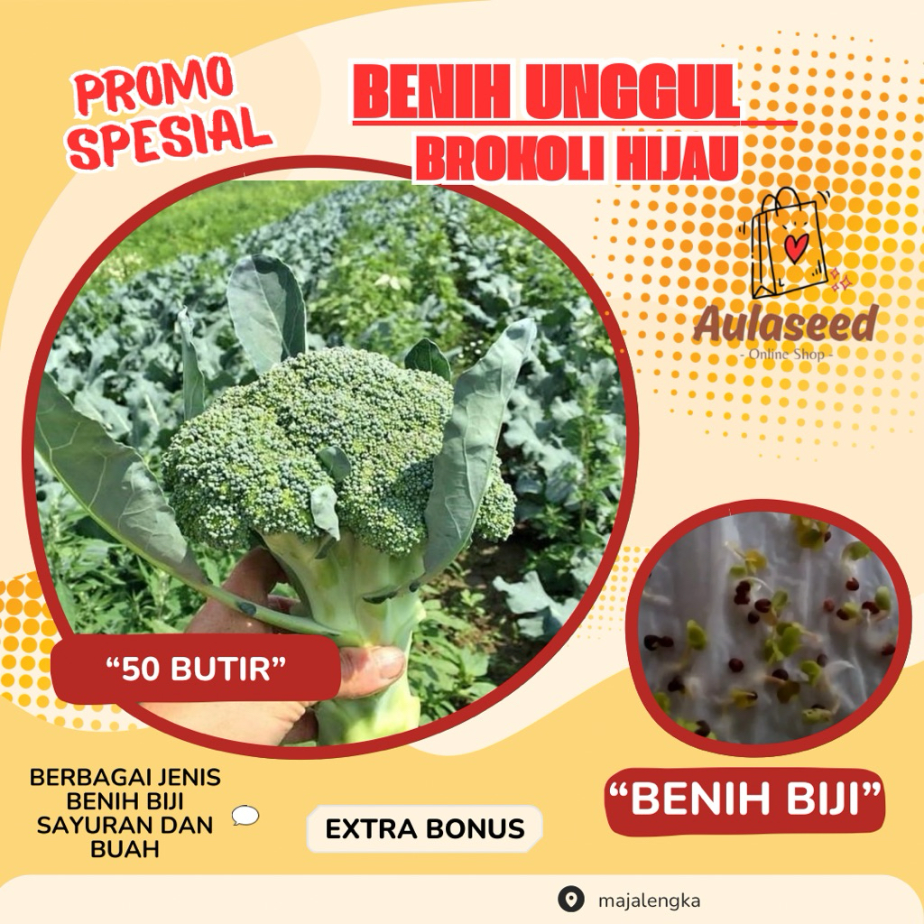 50 Butir> Biji Benih Brokoli Hijau> Bibit Brokoli Hijau Unggul> Bonus Benih