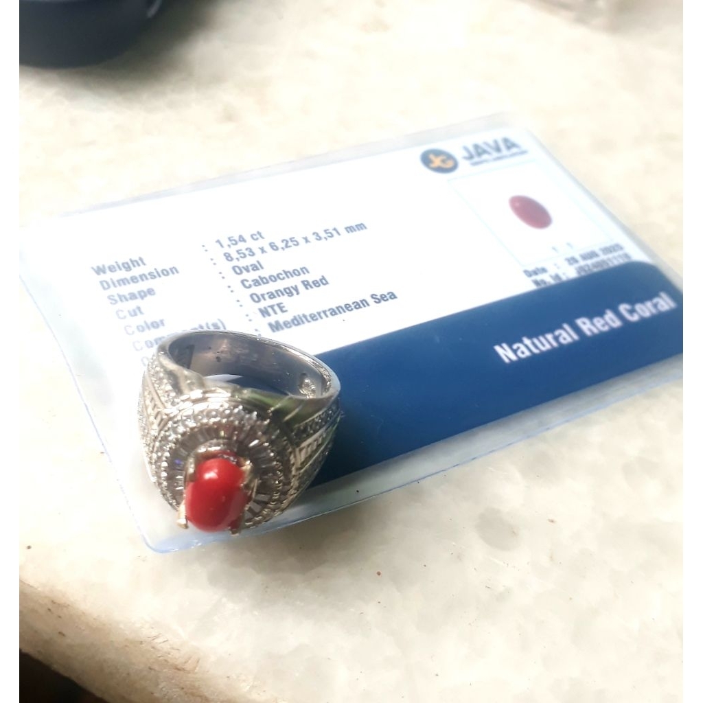 batu marjan laut merah plus memo corralium rubrum sejenis tunisia mesir mediterania