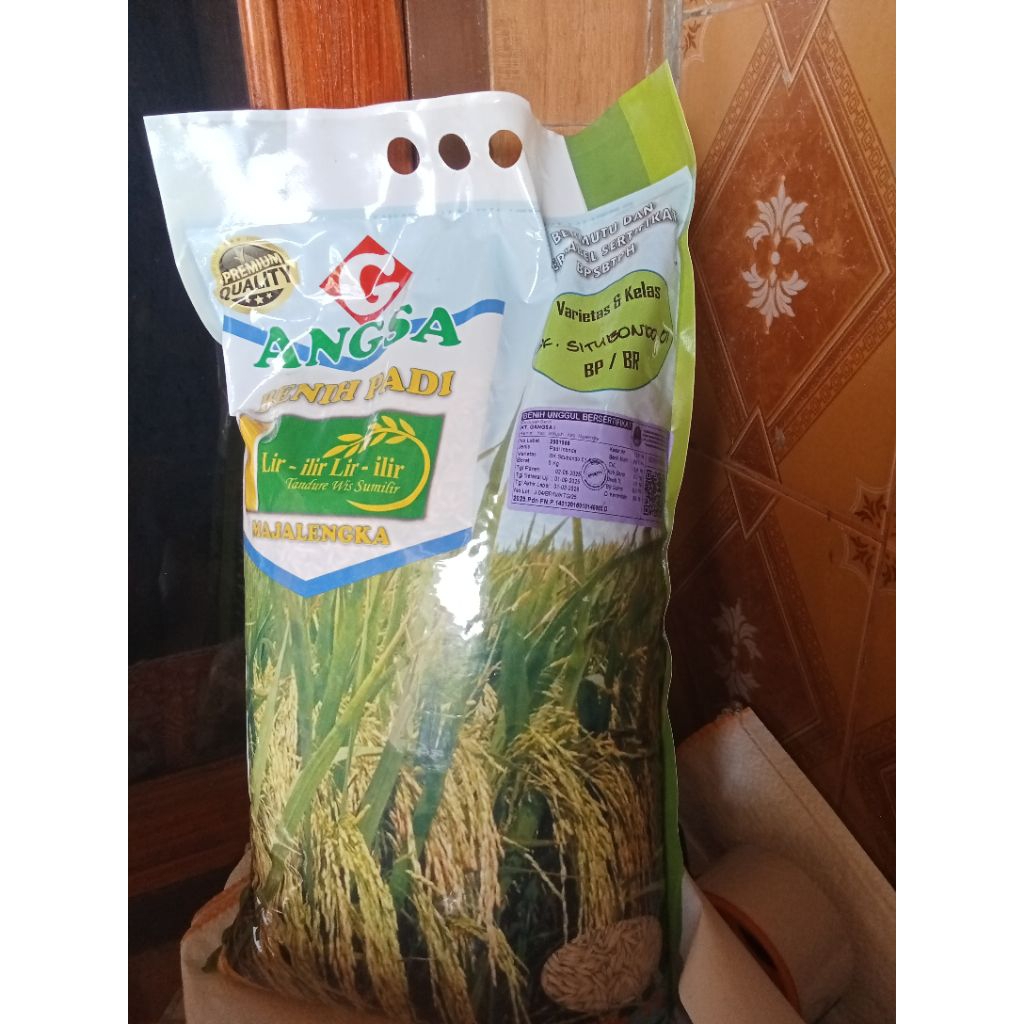 Benih padi BK Situbondo 01