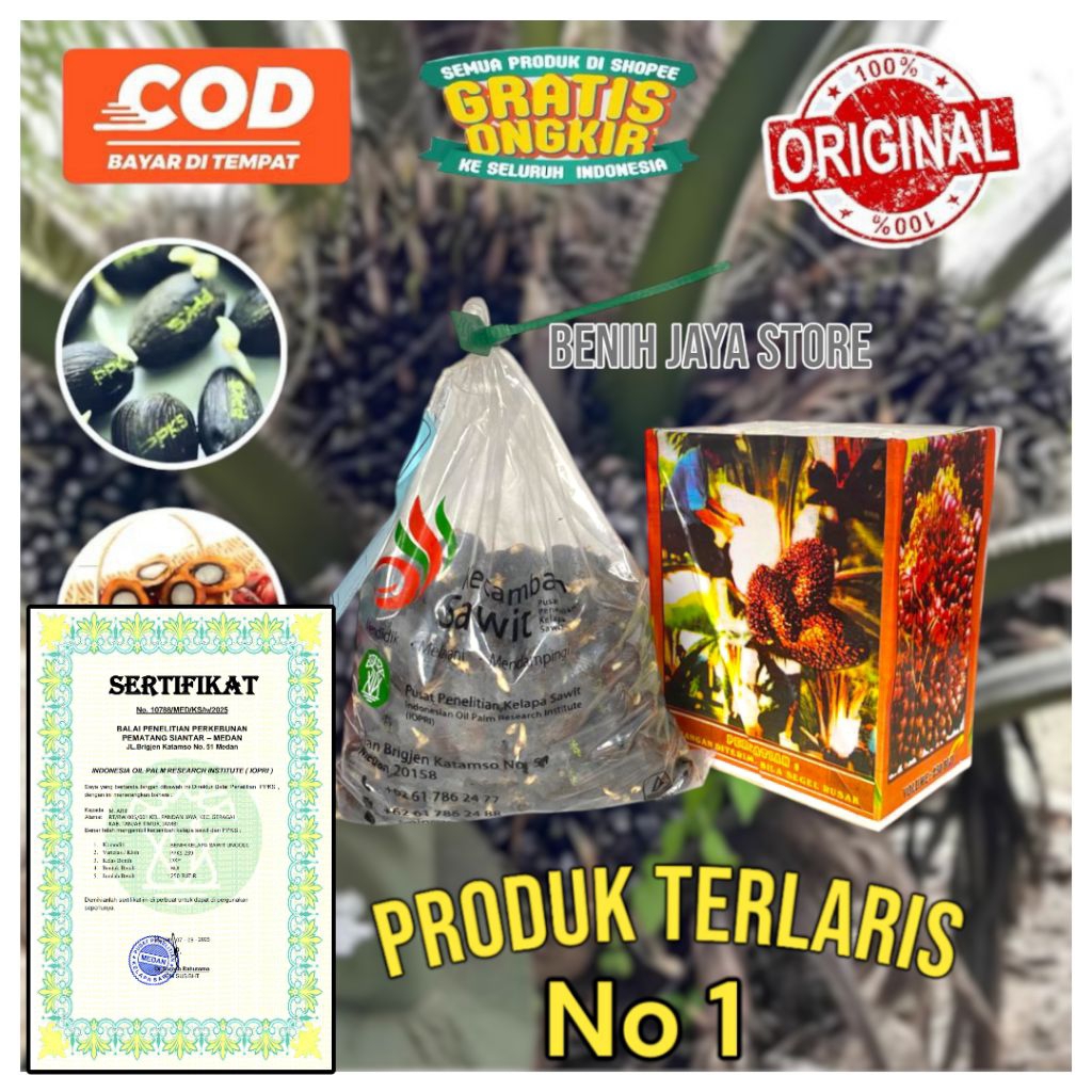 Bibit benih  Sawit PPKS 239 Unggul Bersertifikat Resmi | Benih Kelapa Sawit Original DxP | Siap Sema
