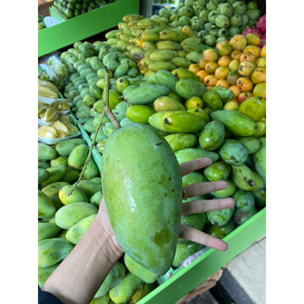 Mangga kiojay muda + gratis bumbu rujak thailand