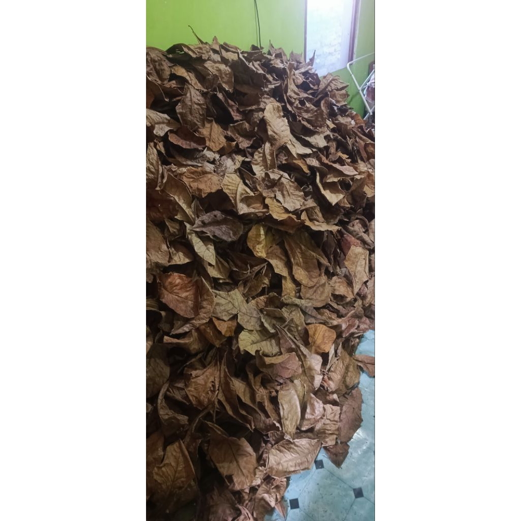 Jahe Gajah Rajang Kering