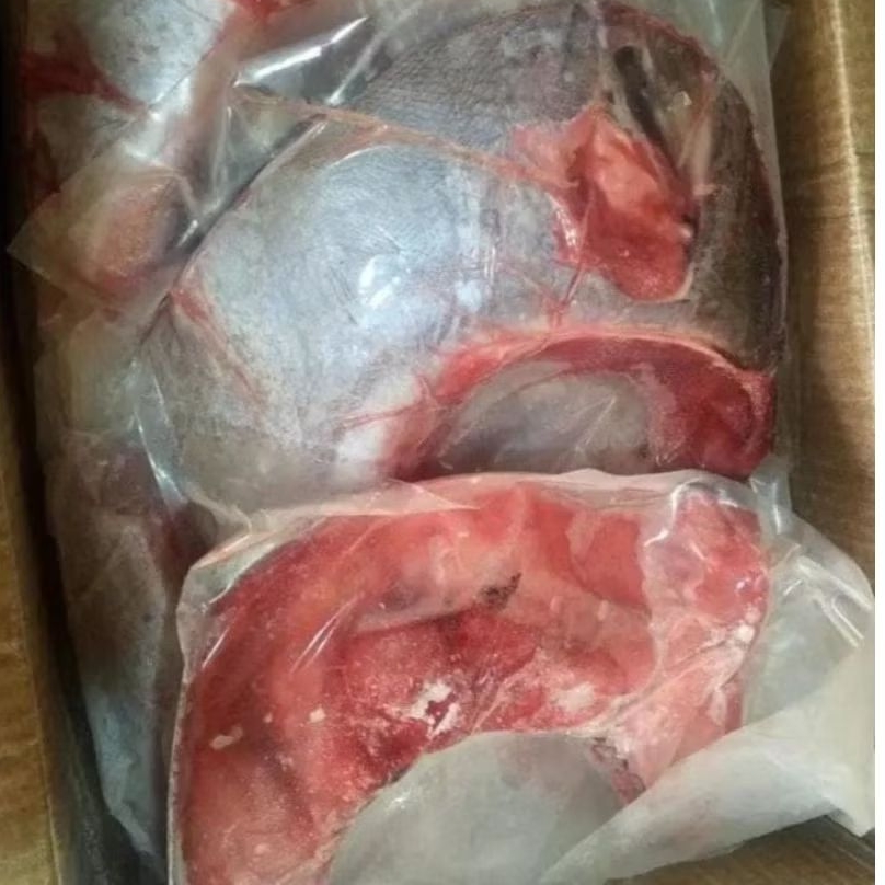 RAHANG IKAN TUNA 1 KG LEBIH
