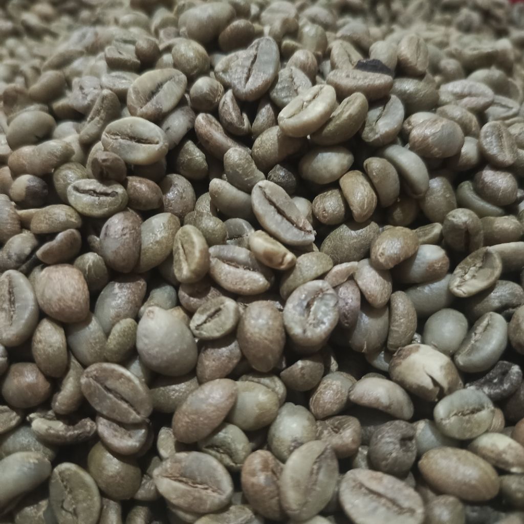 Green Bean Robusta Temanggung Super A+