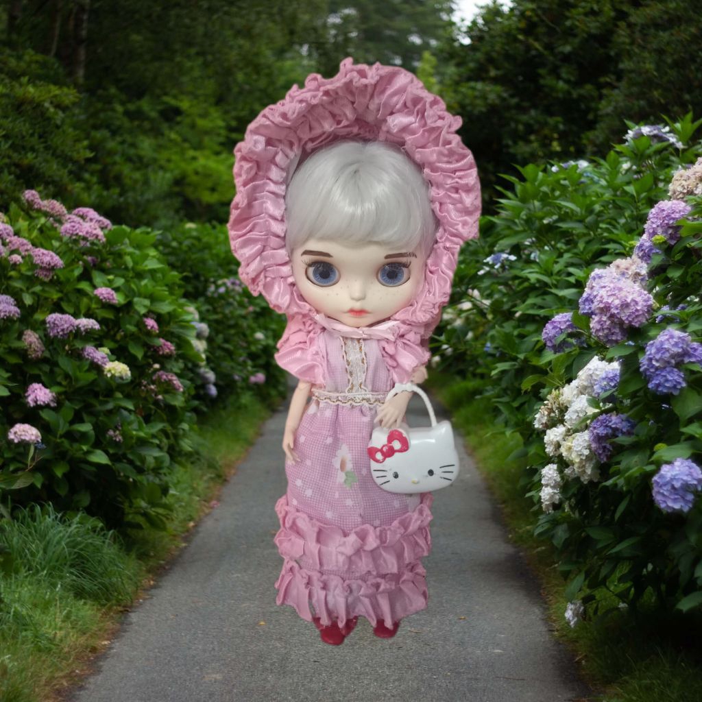 ‼️PRELOVED‼️ Boneka Blythe Factory Skin White Rambut Abu / Silver