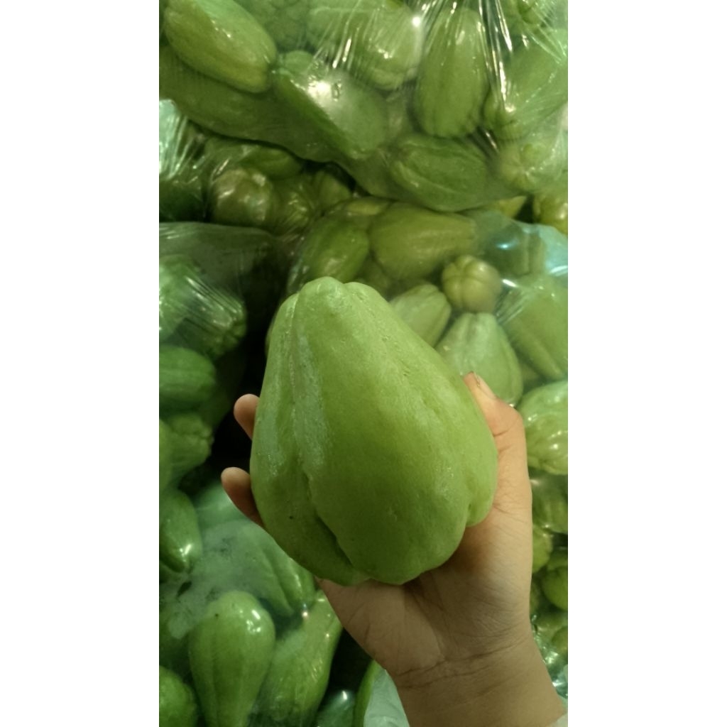 Labu Siam 1kg - Labu Air Siam Fresh 1 kg / Sayur Masakan Harian Rumah