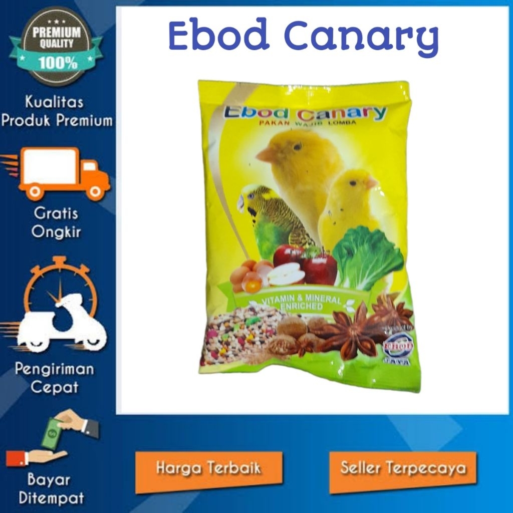 Ebod kenari Pakan burung kenari Ebod pakan burung