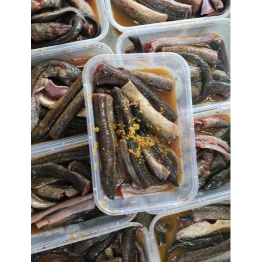 Fozen Food khusus Instan//Belut Marinasi 300gr