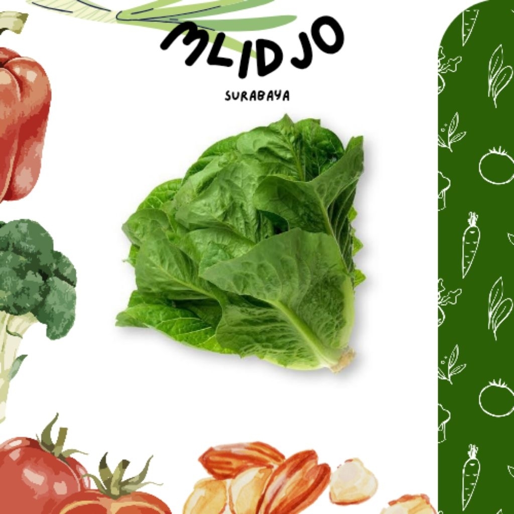 LETTUCE ROMAINE BANDUNG 500GR