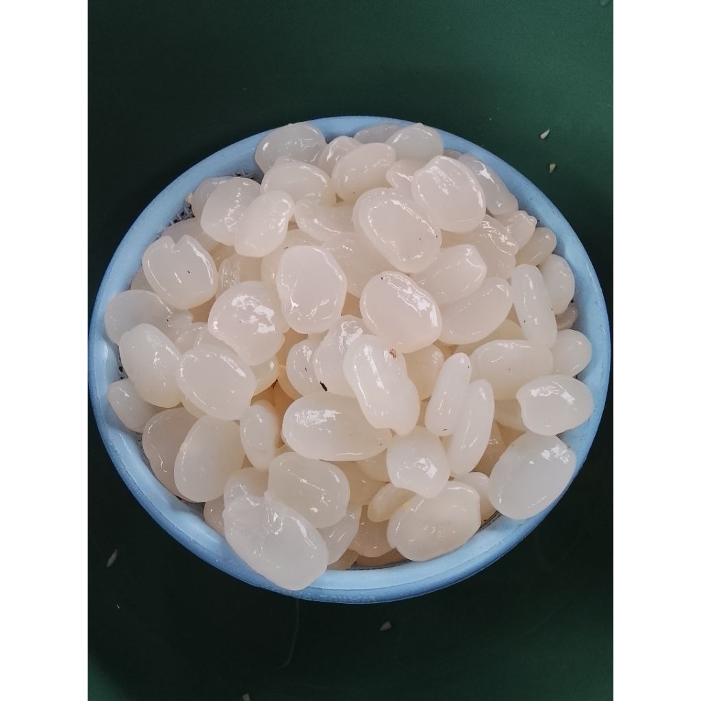 Kolang Kaling kenyal bersih 1kg original