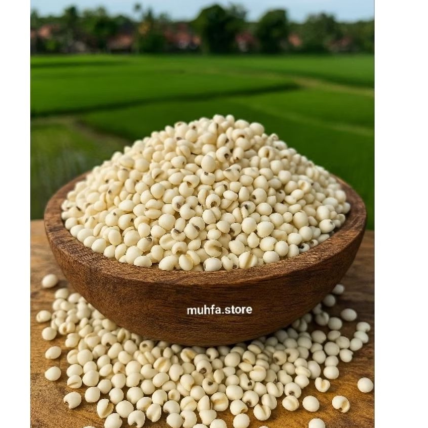 Hanjeli/Jali jali/Jali lokal/Barley/jelai 1kg