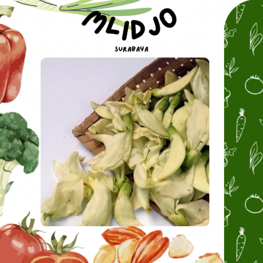 KEMBANG TURI PACK MURAH FRESH SEGAR