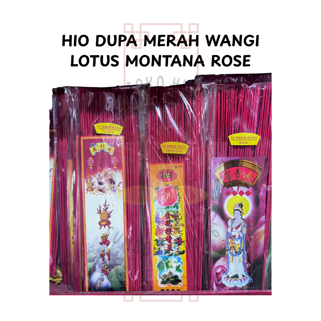 HIO DUPA MERAH WANGI LOTUS MONTANA ROSE