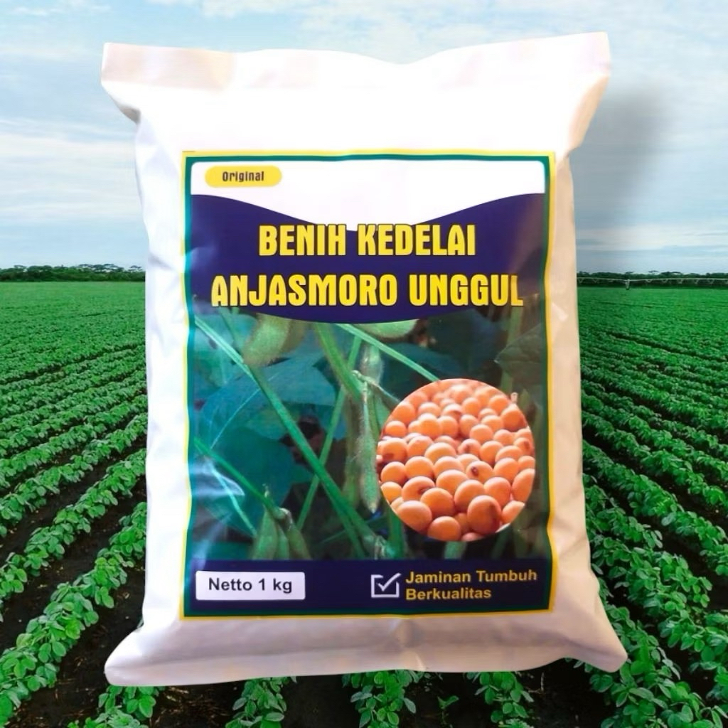 BENIH KEDELAI ANJASMORO UNGGUL (1kg)