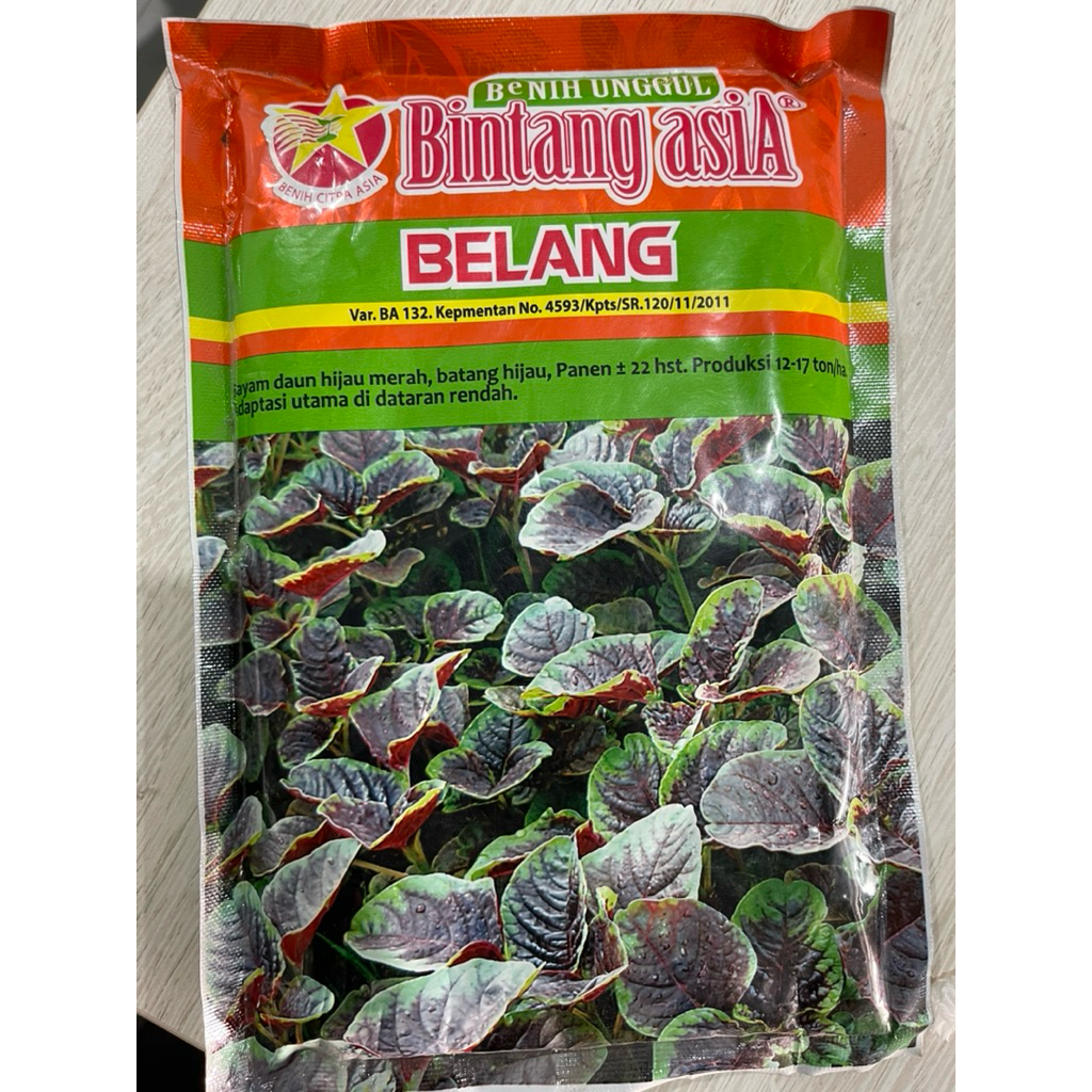 bibit bayam merah BELANG 500gr