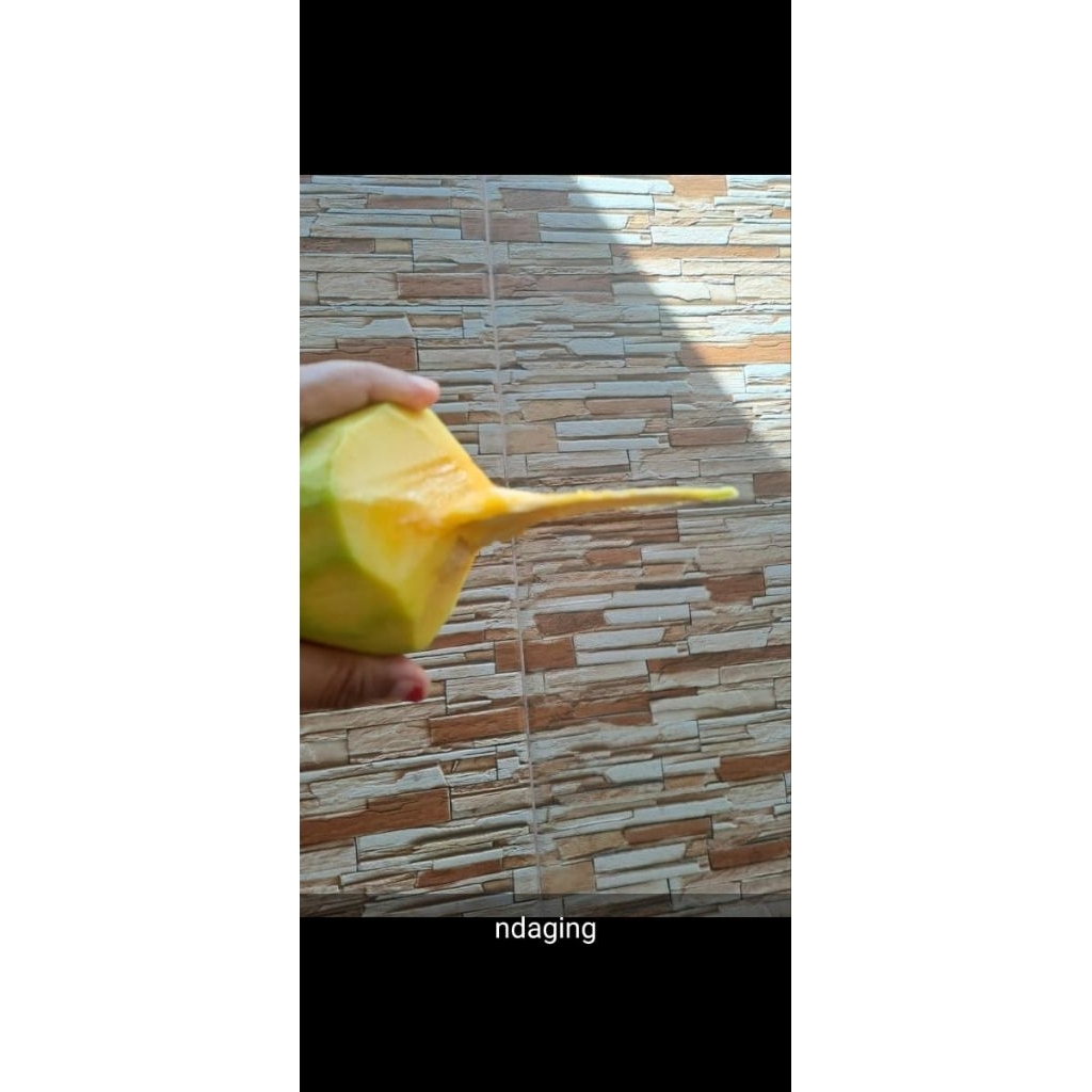 MANGGA KYOJAY MENGKAL CRUNCHY,MANGGA RUJAK+ BUMBU GROJOK