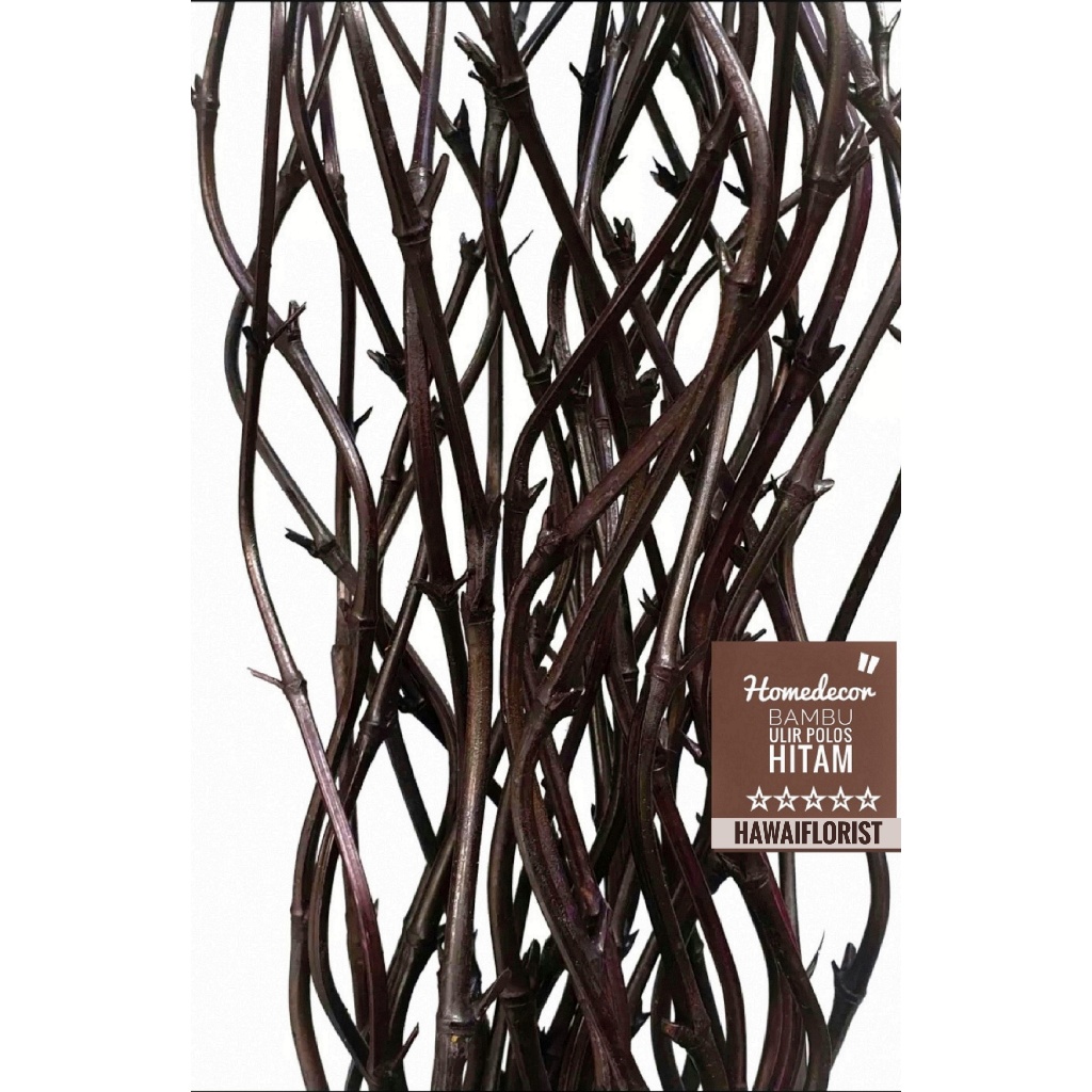 25  Btg Bambu Ulir Hitam Bambu Polos Murah 170cm Homedecor Perlengkapan Rumah Bunga Dekorasi