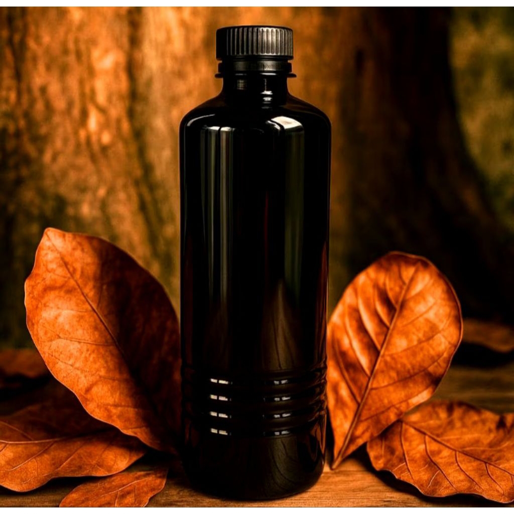 extrak Ketapang Laut