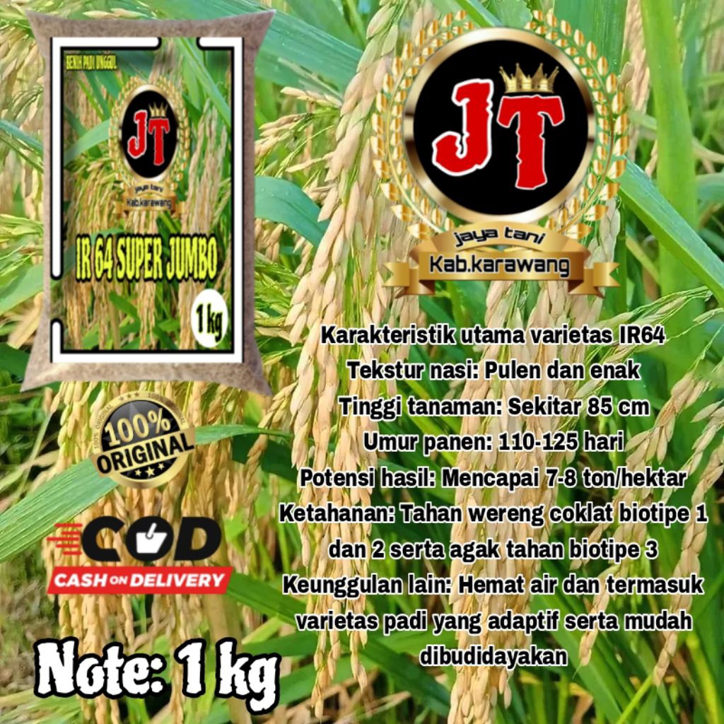 benih padi unggul IR 64 SUPER JUMBO 1kg