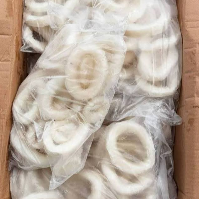 Cumi 1Kg Cumi Segar Cumi Ring Seafood Cumi Cumi Segar 1Kg