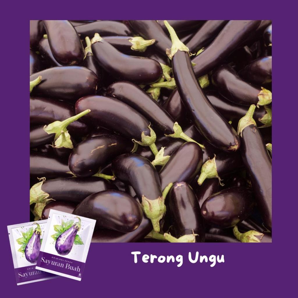 Benih Terong Ungu Beli1 Gratis1 Benih Bibit Biji Terong Ungu Unggul Panjang Dan Besar
