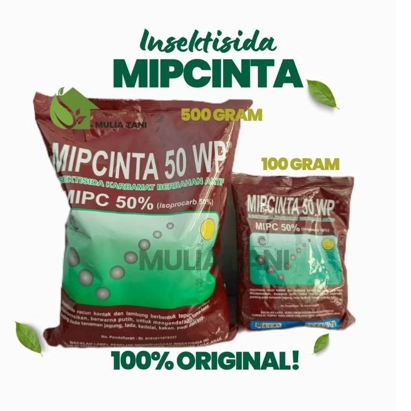 Insektisida Mipcinta 50WP Insektisida basmi belalang,kutu putih,wereng