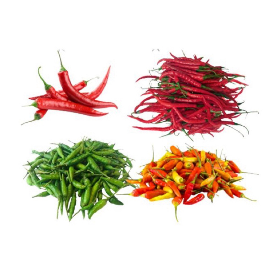 Aneka Cabe Rawit Cabe Keriting Cabe Hijau Cabe Lalap