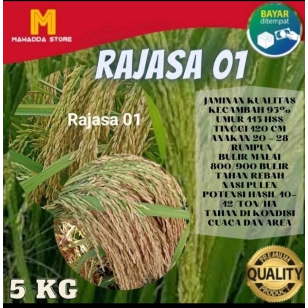 Benih padi RAJASA 01 NETTO 5KG