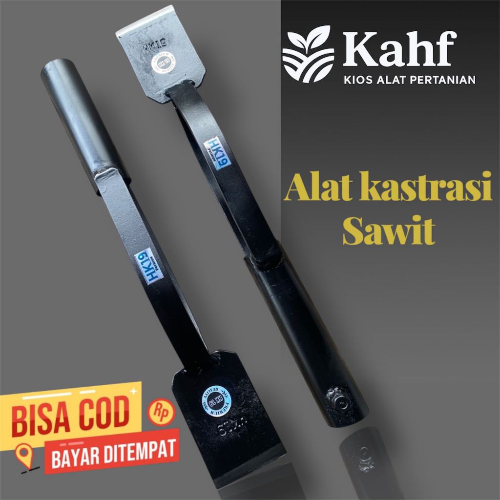 Dodos Kastrasi Sawit / Dodos Tunas / Dodos Anak sawit