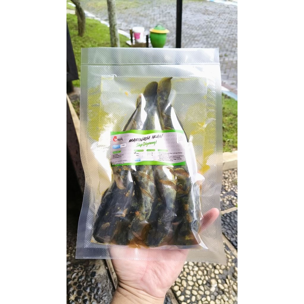 Lele Marinasi | Lele Frozen | Lele Siap Goreng