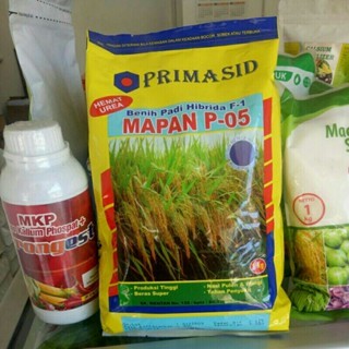 Benih Padi Pari Mapan 05 F1 Original Primasid