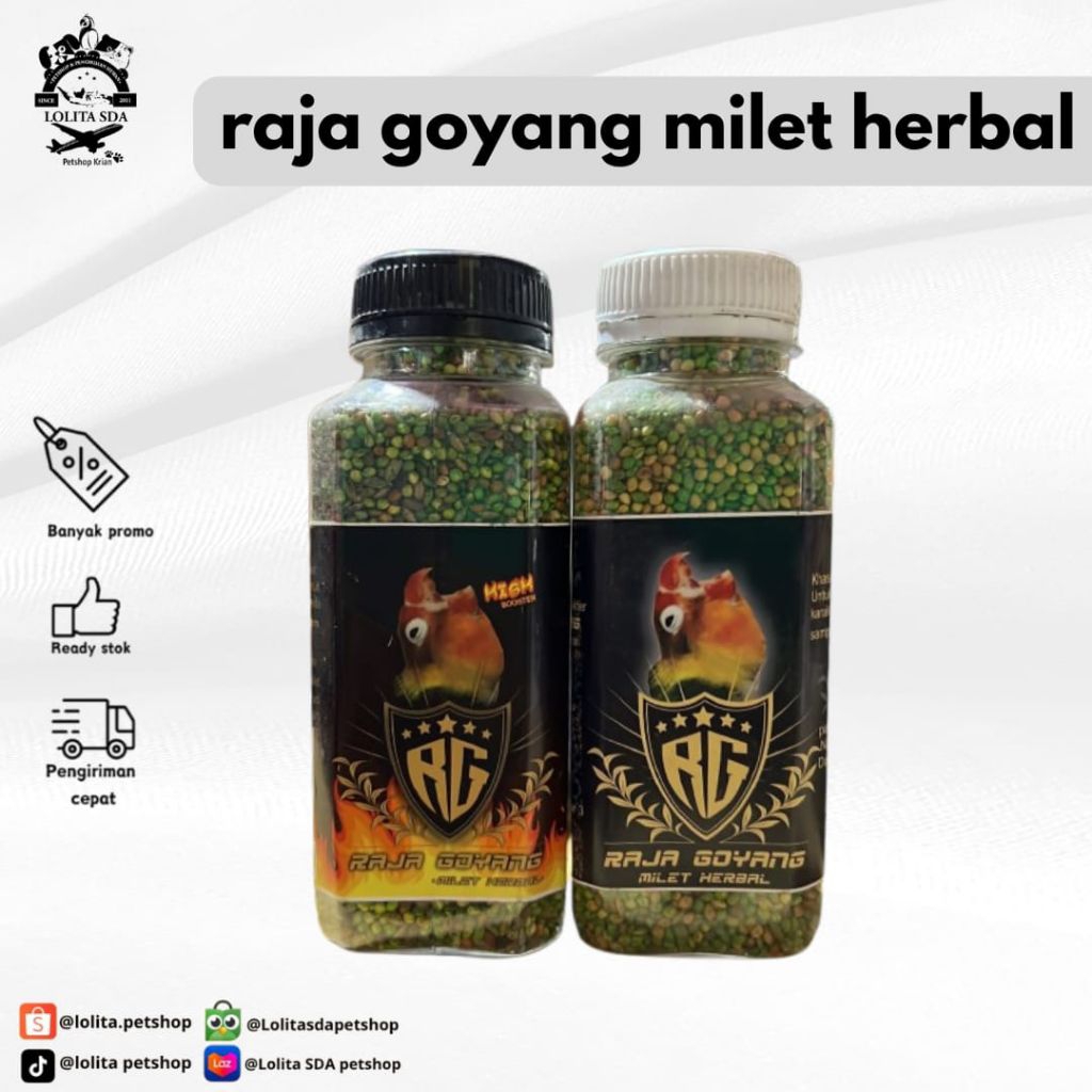 raja goyang high / pakan burung lovebird rg