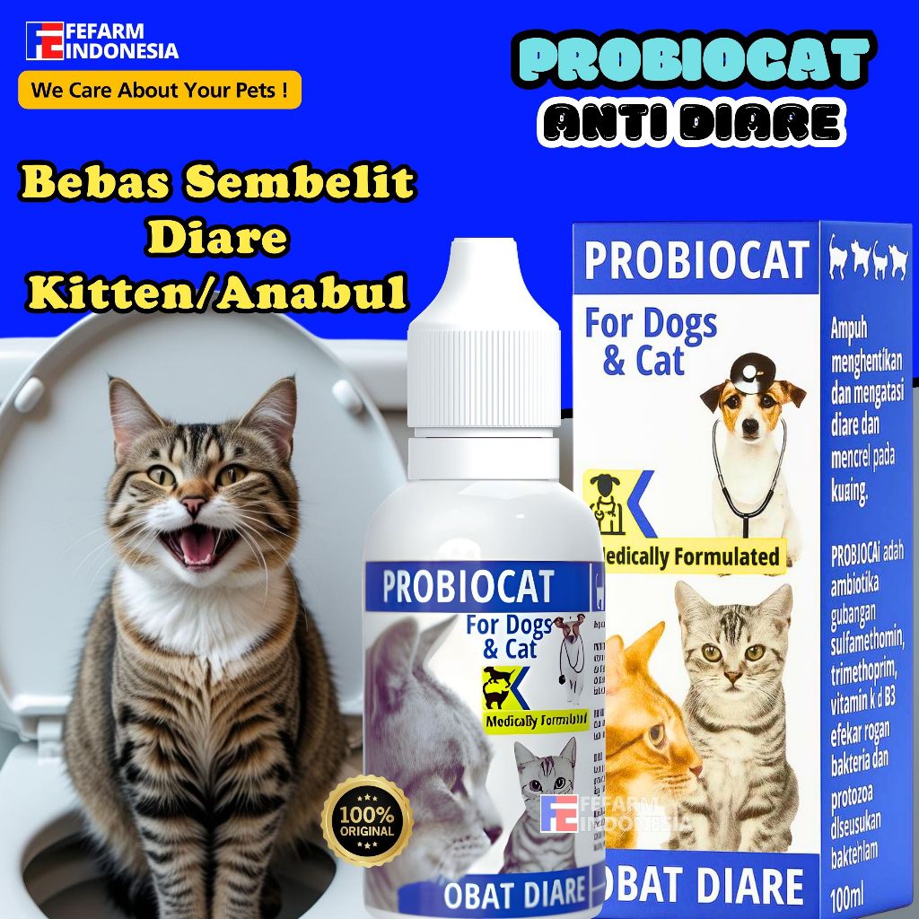 Obat Diare Kucing Obat Berak Darah Kucing PROBIOCAT FEFARM