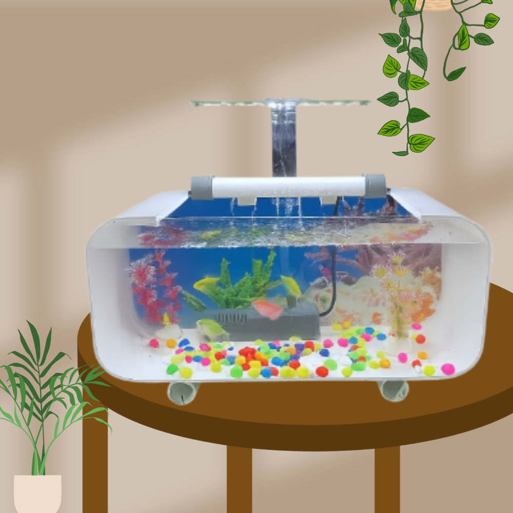 AQUARIUM MINIMALIS IKAN HIAS IKAN GUPY AESTETIK FULLSET SIAP PAKAI