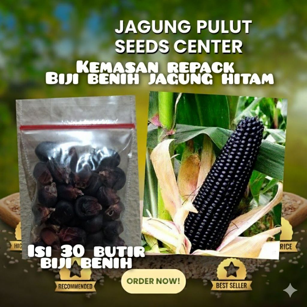 Biji Jagung Pulut Hitam