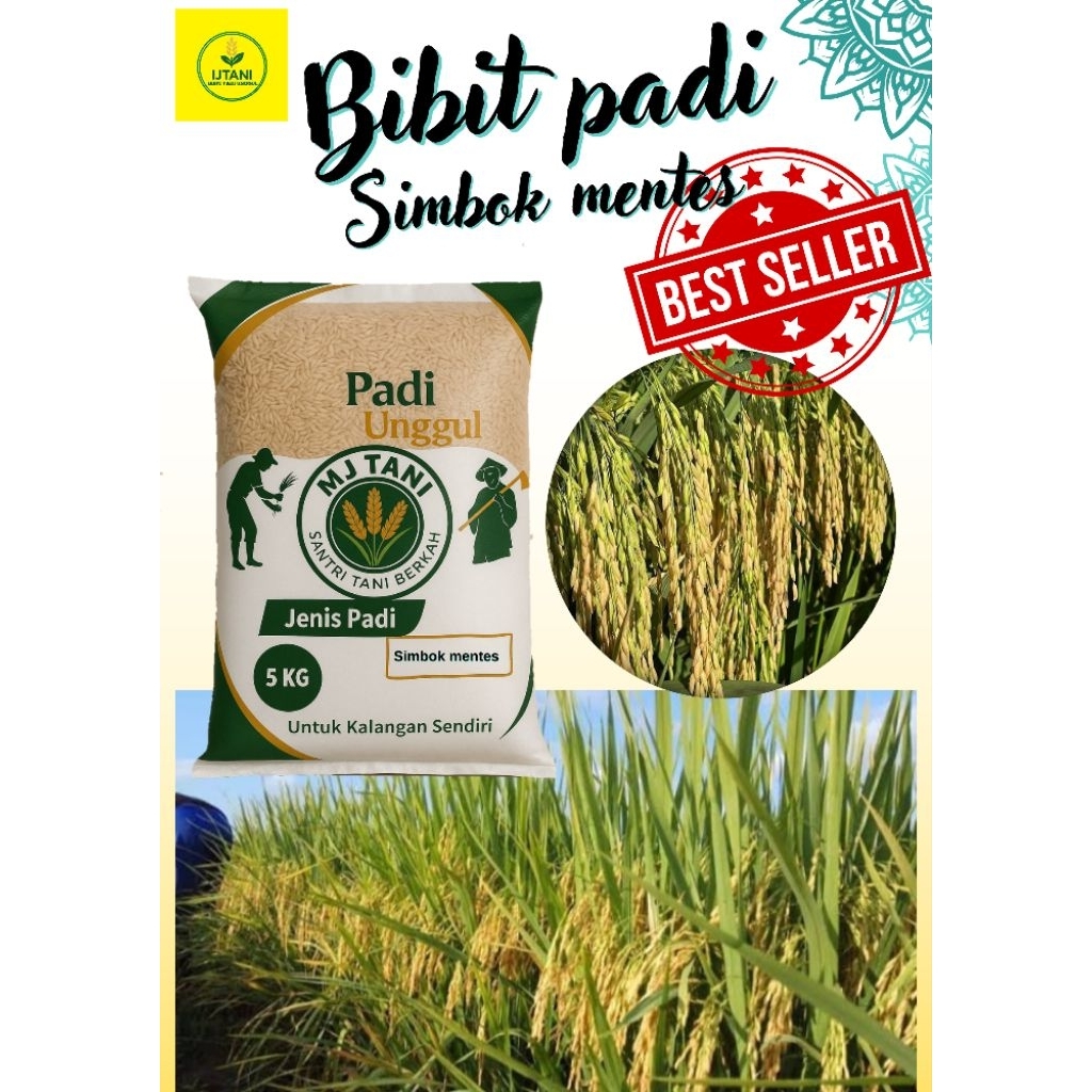 bibit padi unggul simbok mentes 5kg