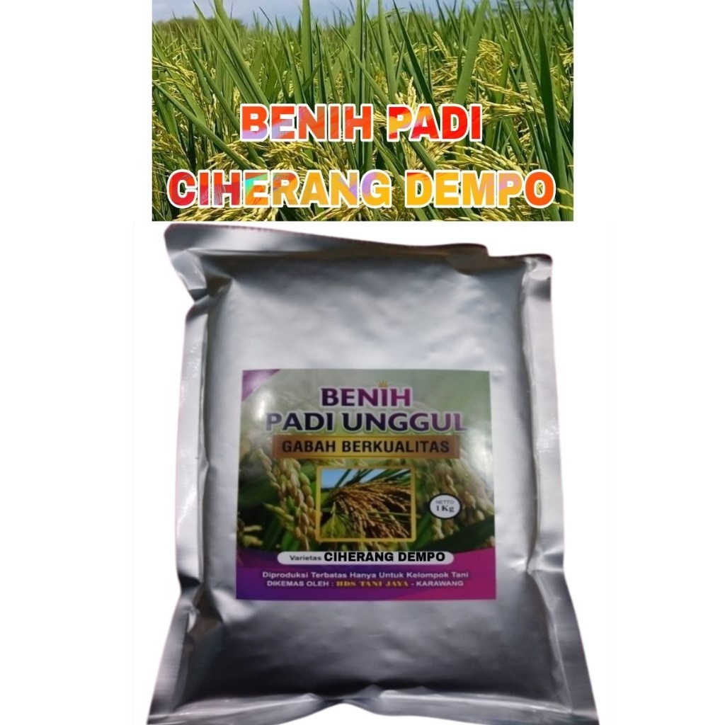 Benih padi 1kg CIHERANG DEMPO SUPER BERBOBOT ORIGINAL LABEL PUTIH