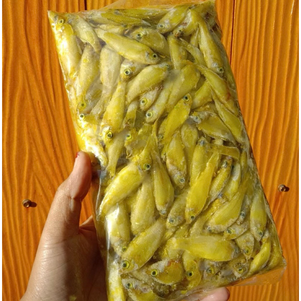 wader bumbu/wader laut