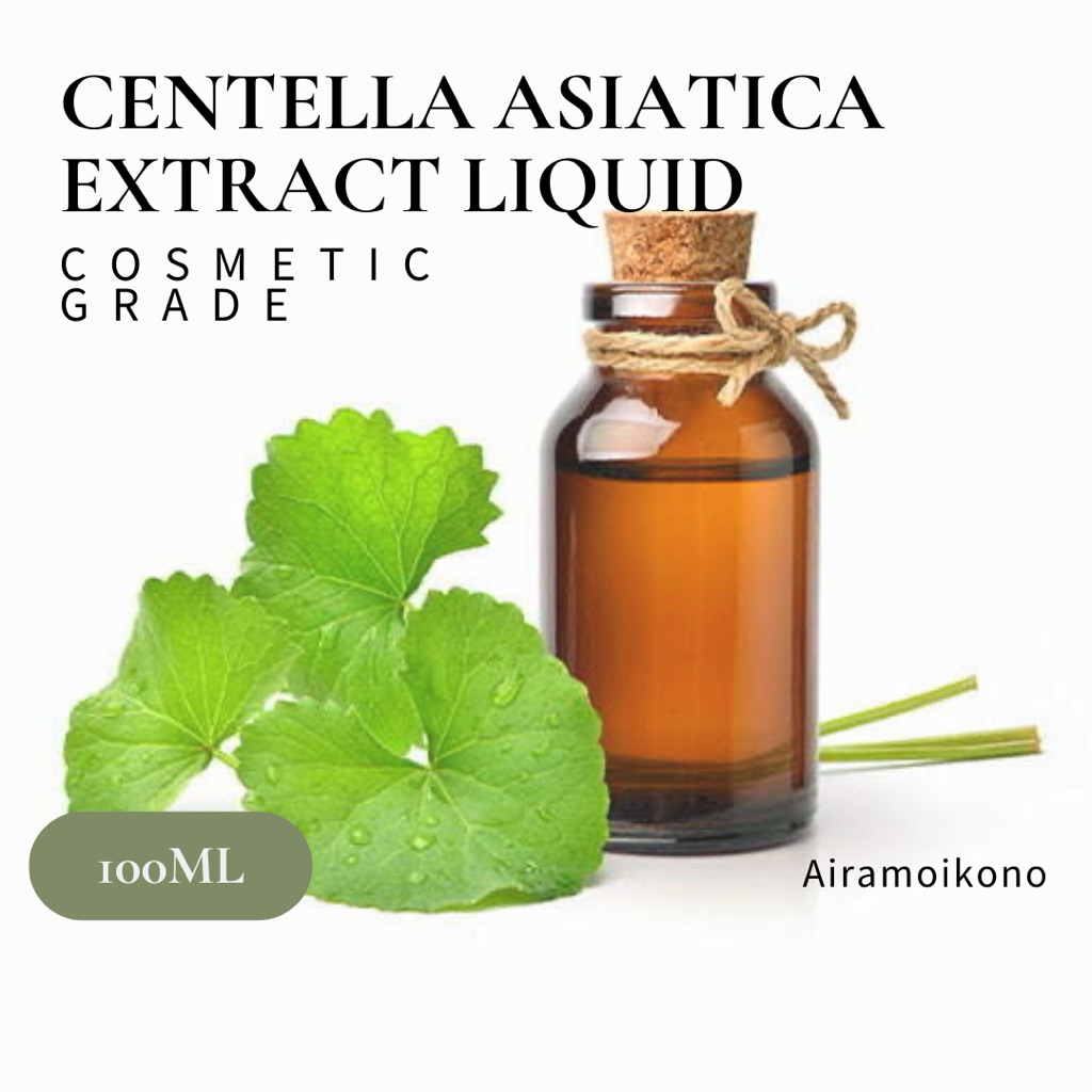 CENTELLA ASIATICA / DAUN PEGAGAN /GOTU KOLA EKSTRAK