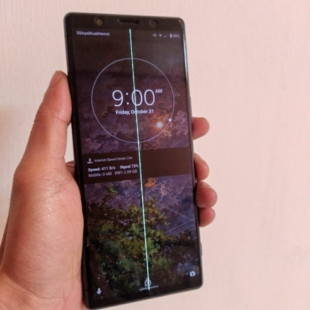 Sony xperia 5 wifi only