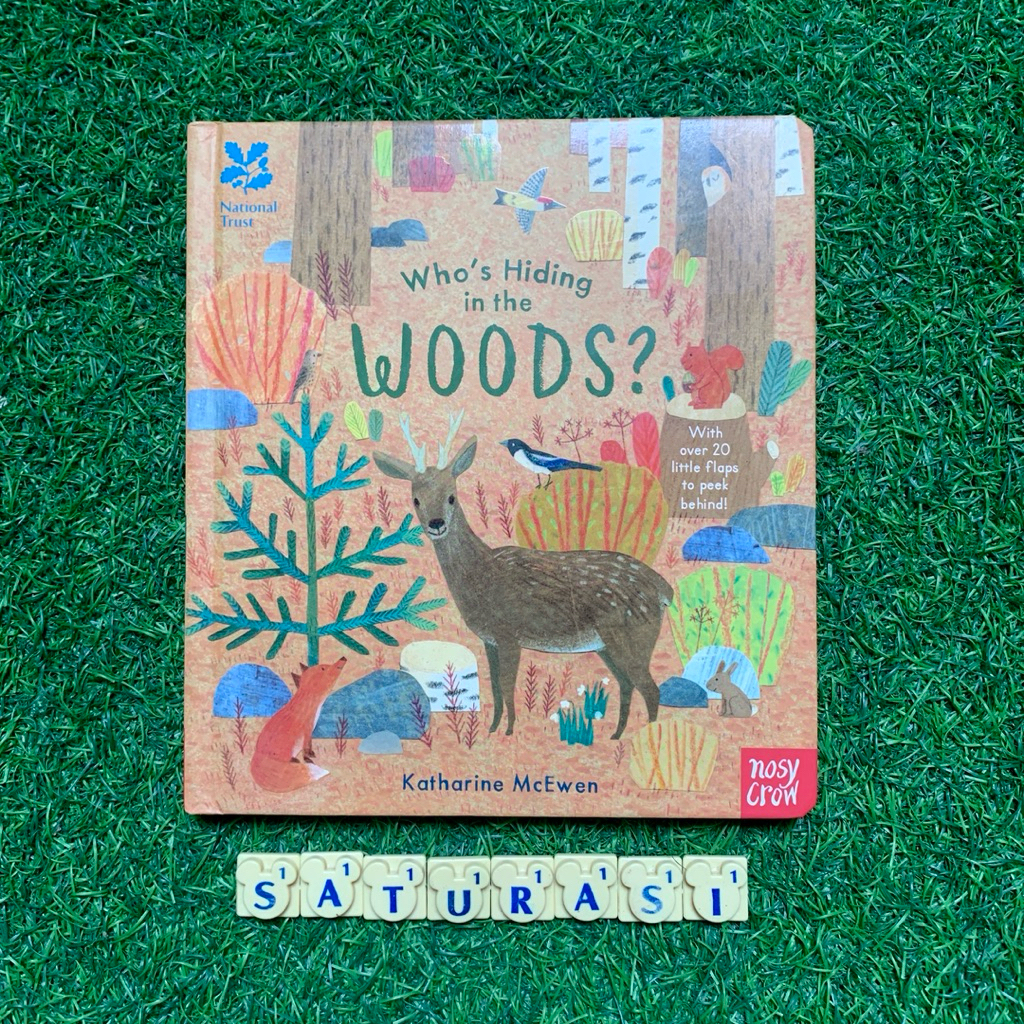 (Saturasi Preloved) Board Book Who’s Hiding in the Woods? (Flap Book) - Buku Anak Import