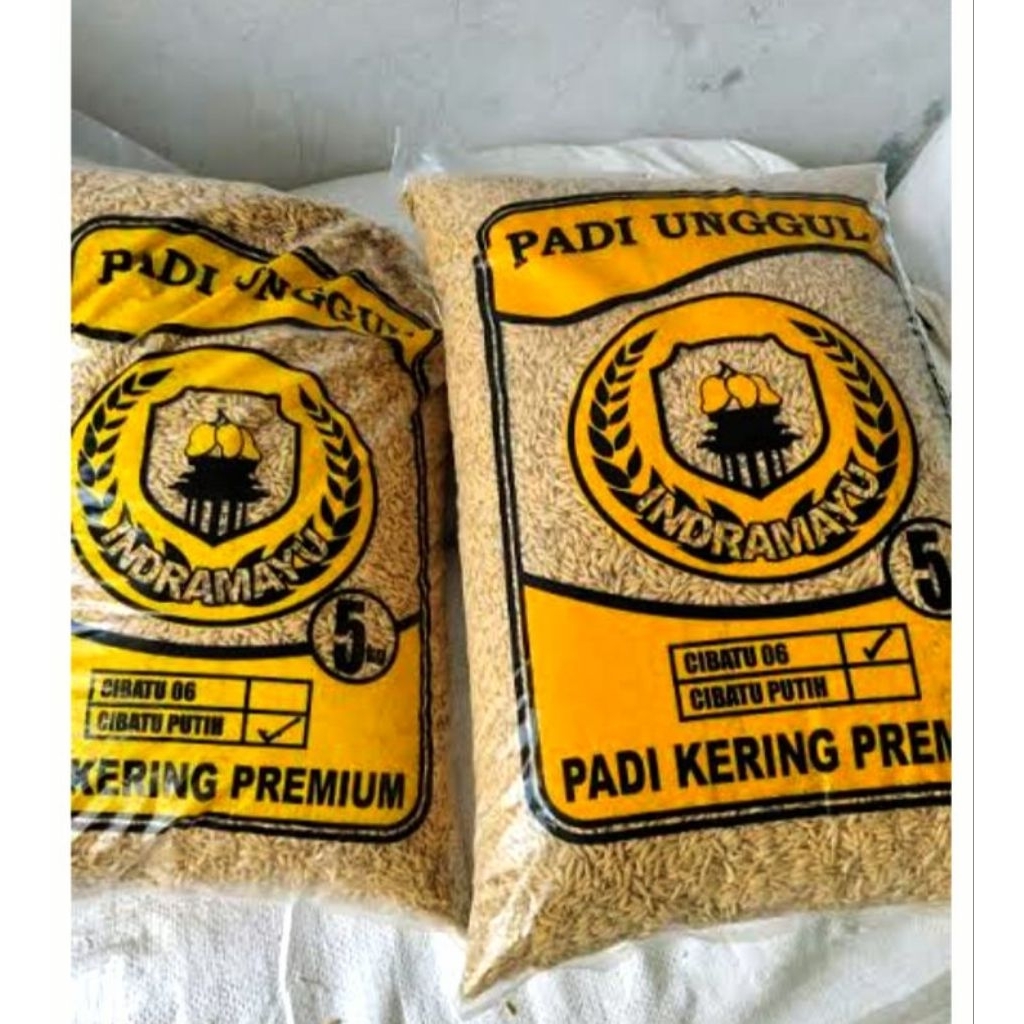 BENIH PADI UNGGUL INDRAMAYU CIBATU 06 CIBATU PUTIH BERAT 5KG TERBARU