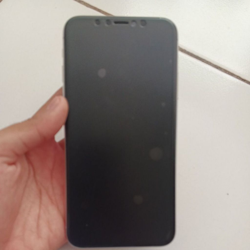 iphone x 256 gb inter