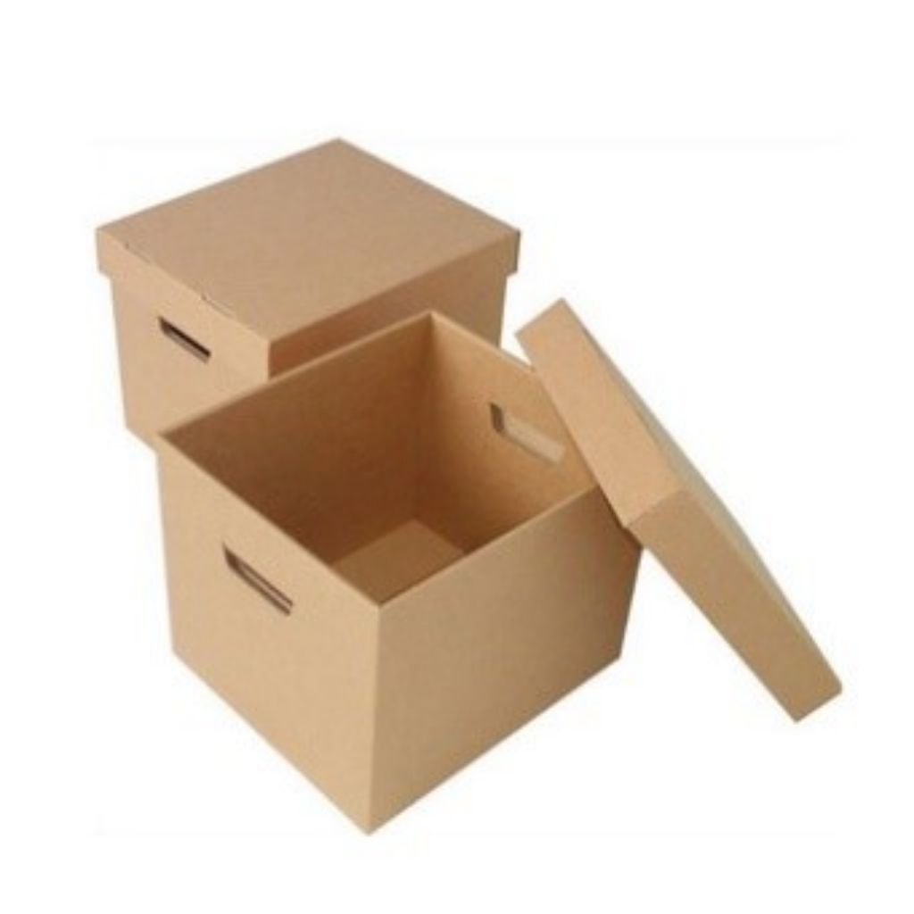 kardus tor putitora hybrid 8-10cm