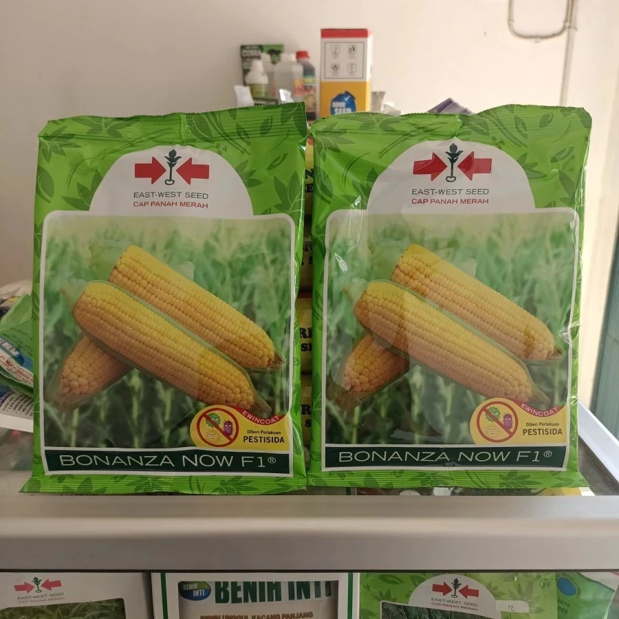 New promo [ ORIGINAL ] benih/bibit jagung manis BONANZA now f1 isi 1800 butir