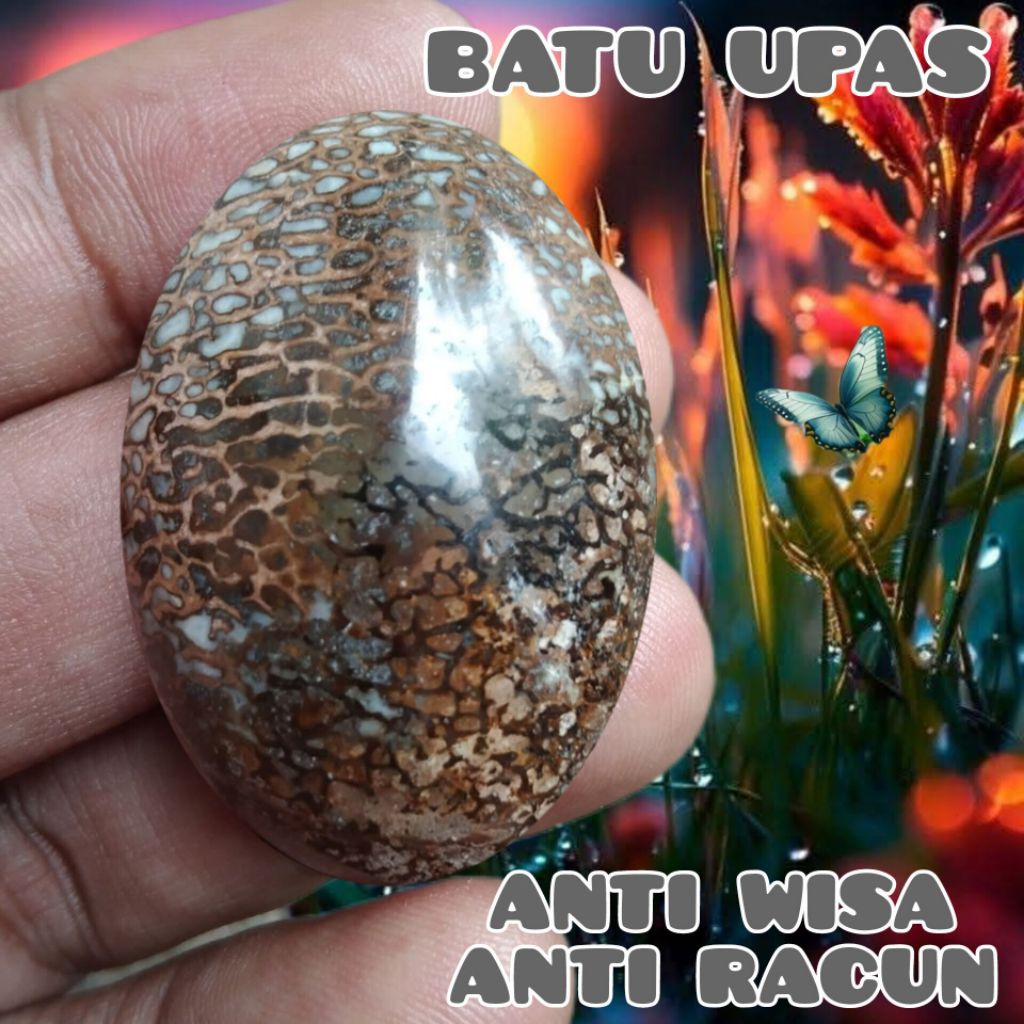 BATU AKIK ANTI WISA_BATU UPAS ASLI BUKAN ABAL ABAL ORIGINAL CIREBON